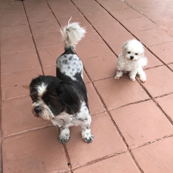 Meet your Posher, Inge - Picture 1 of 1